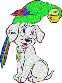 nr Sticker