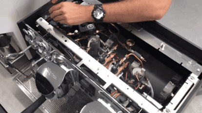 unknowncoffee giphygifmaker giphygifmakermobile eagle one GIF