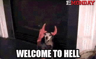 Video gif. A chihuahua is dressed as the devil and stands in front of a fireplace that turns on. It turns back to check that the fire is on. Text, "Welcome to hell. Wait. Yeah, welcome to hell!"