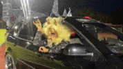 Livefromearth GIF by Timoji Family