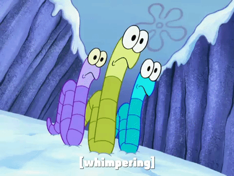 season 8 frozen face-off GIF by SpongeBob SquarePants