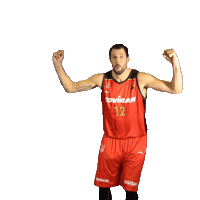 Coviran Sticker by Fundación Club Baloncesto Granada