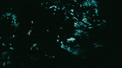 Water Wave GIF by Mason Gold