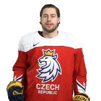 Celebration Hockey Sticker by Národní tým