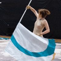 SpintronixGuard flag colorguard wgi winterguard GIF