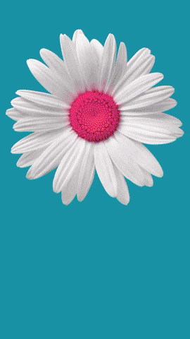 Simongip giphyupload GIF