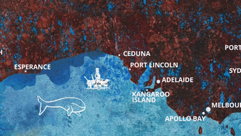 greenpeaceap giphyupload GIF