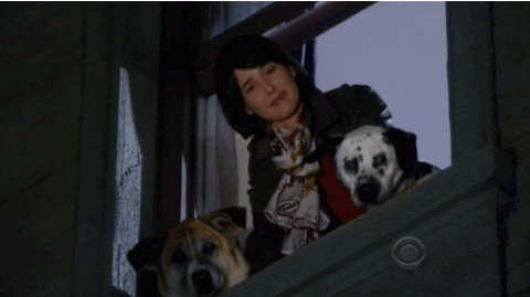 how i met your mother GIF