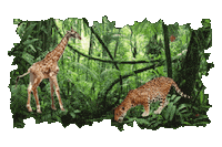 Forest Trees Sticker