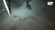 news peru GIF by NowThis 