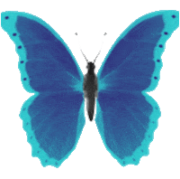 marcdomsan blue magic butterfly mariposa Sticker