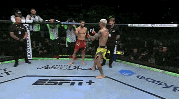 Mixed Martial Arts Sport GIF by UFC