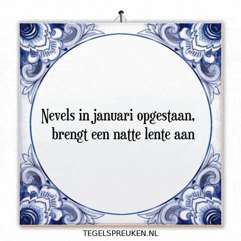 Humor Nl GIF by Tegelspreuken.nl