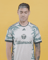 Mls Portland GIF by Timbers