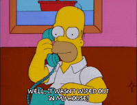 homer simpson GIF