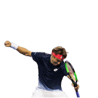 AcademiaTenisFerrer team tennis david vamos Sticker
