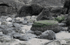 cannon beach GIF by hateplow