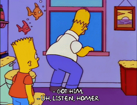 homer simpson episode 22 GIF