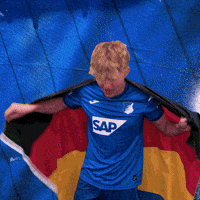 Sport Bundesliga GIF by TSG Hoffenheim