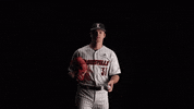 University Of Louisville Baseball GIF by Louisville Cardinals
