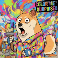 Shiba Inu Wow GIF by Doge Pound