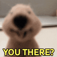 Greeting Miss You GIF