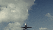 Football Betting GIF by Interwetten