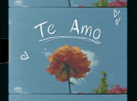 I Love You Film GIF by Jess