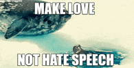 Nohatespeech Nohate GIF by Democratic Meme Factory