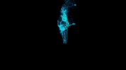 pull up here with me GIF by Marshmello