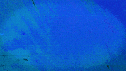 dance music love GIF by Marshmello