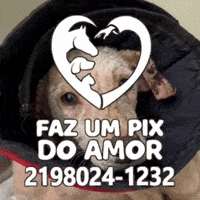 Doe GIF by GARRA