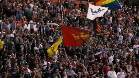 rslmarketing giphygifmaker soccer futbol mls GIF