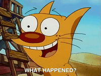 nicksplat GIF