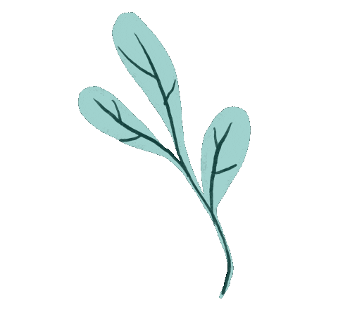 maypop giphyupload plant plants leaf Sticker