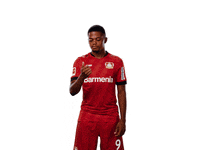 Bayer 04 Score GIF by Bayer 04 Leverkusen