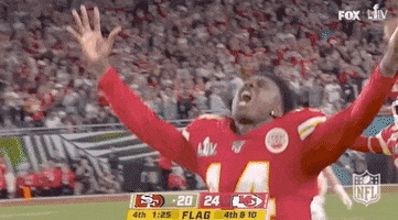 Super Bowl Football GIF by NFL