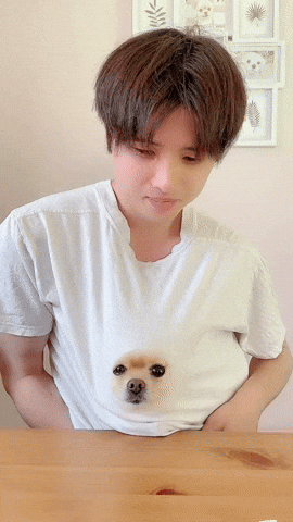 cuteanimalland giphyupload GIF