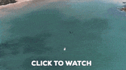 Delivery Drone GIF by AirVuz