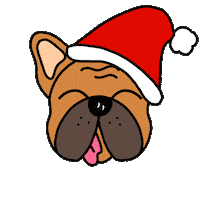 fun winter Sticker by Ivo Adventures