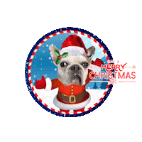 Merry Christmas Sticker by Pimp Yo Pets