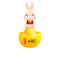 Chinese New Year Abc Sticker by Asianborrelclub