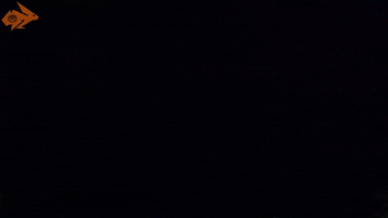 Role Playing Reaction GIF by Hyper RPG