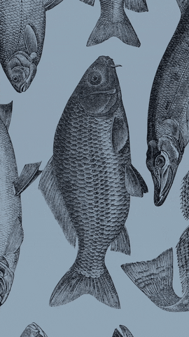 peeassa_sok giphyupload wanhasatama wanhasatamakuopio wanhasatamamenutausta GIF