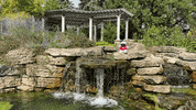 Wolf Pack Waterfall GIF by Cardinal Stritch University