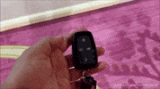 Driving Lets Go GIF by Namaste Car