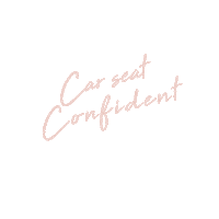 safeintheseat car seat confident Sticker