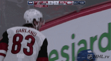 nhl sports sport hockey nhl GIF