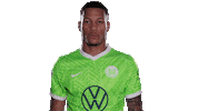 Lets Go Football Sticker by VfL Wolfsburg