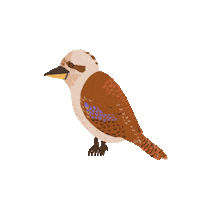 Bird Kookaburra Sticker by jerichoroadclothing